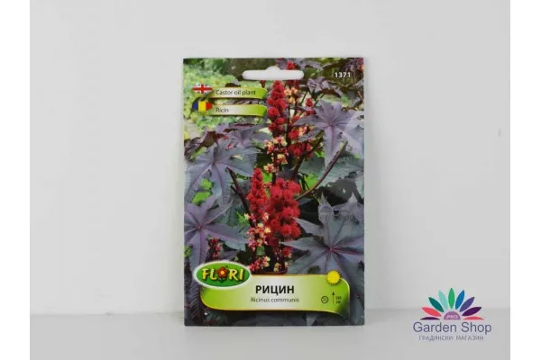Семена на рицин като средство против къртици (Ricinus communis) представени от Севън Сийдс