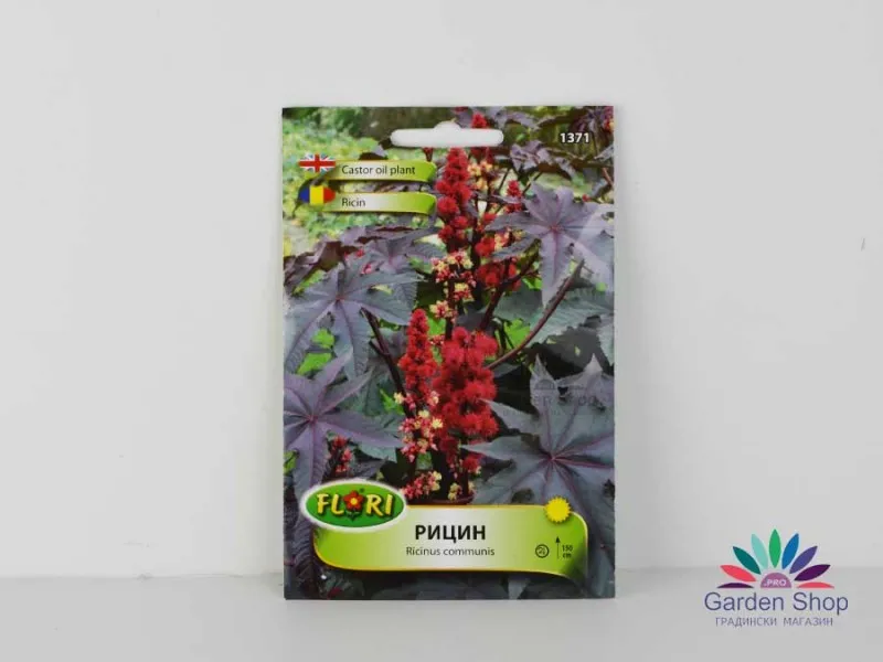 Семена на рицин като средство против къртици (Ricinus communis) представени от Севън Сийдс