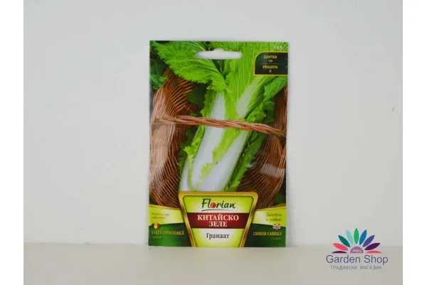 Семена на изключително вкусен сорт Китайско зеле Гранаат представен от Севън Сийдс