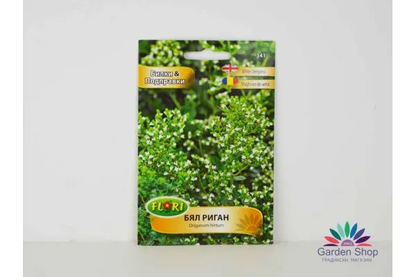 Семена на силно ароматен бял Риган (Гръцки риган) - Origanum hirtum представени от Севън Сийдс
