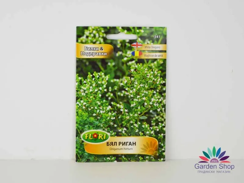 Семена на силно ароматен бял Риган (Гръцки риган) - Origanum hirtum