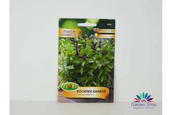 Семена на екзотичен босилек канела - Ocimum basilicum представени от Севън Сийдс