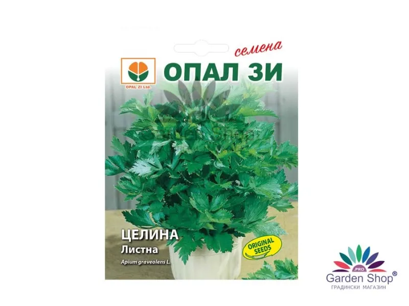 Семена на Листна целина (Кервиз) от Опал Зи