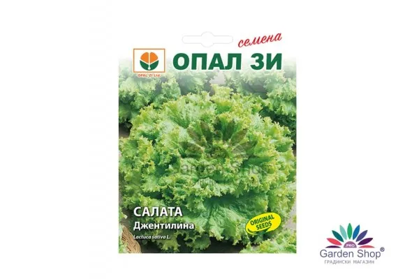 Семена на къдрава салата Джентилина от Опал Зи