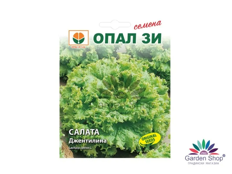 Семена на къдрава салата Джентилина от Опал Зи