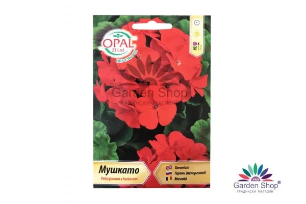 Семена на Червено Мушкато - Pelargonium x hortorum от Опал Зи