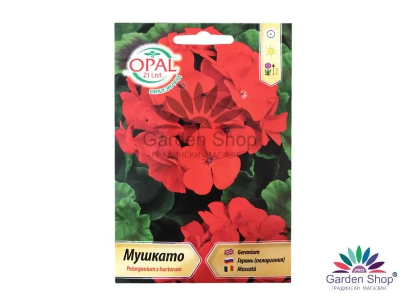 Семена на Червено Мушкато - Pelargonium x hortorum от Опал Зи