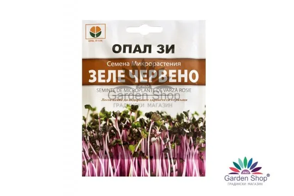 Семена за микрорастения от червено зеле представени от Севън Сийдс