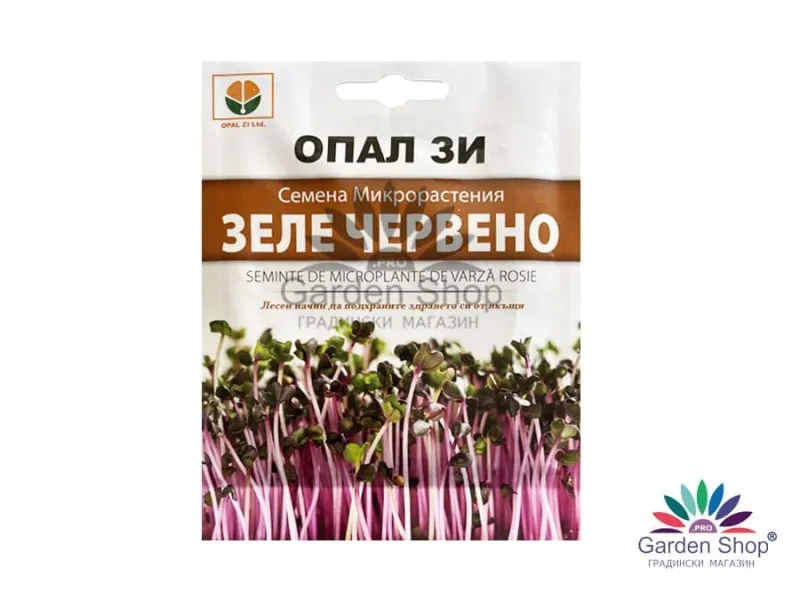 Семена на микрорастения от червено зеле представени от Севън Сийдс