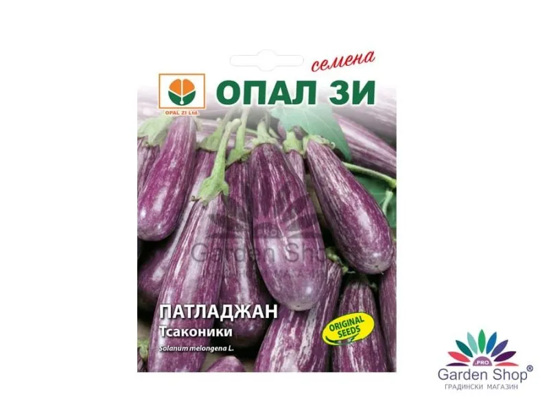 Семена на шарен патладжан Тсаконики – изборът на взискателния градинар