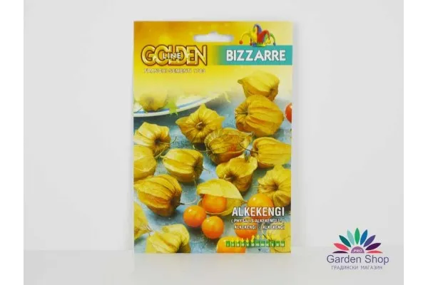 Семена на екзотичен физалис (Physalis alkekengi) с ядлив плод