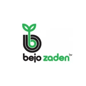 Bejo Zaden (Бейо заден)