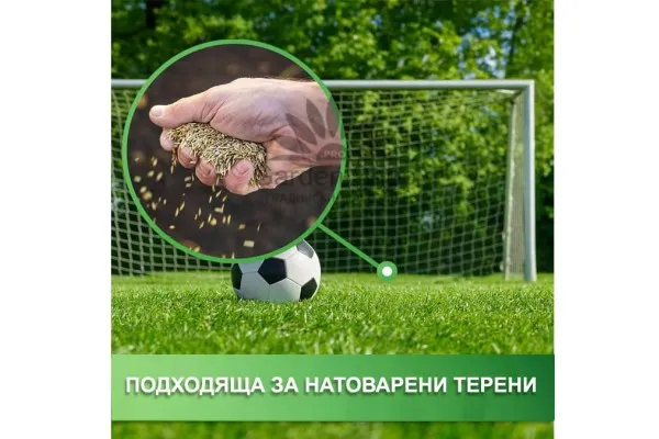 Силно устойчива на натоварване тревна смеска Hesa RSM 3.1 Strapazierrasen Австрия