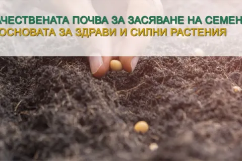 Почва за засяване на семена от домати – избор, подготовка и полезни съвети