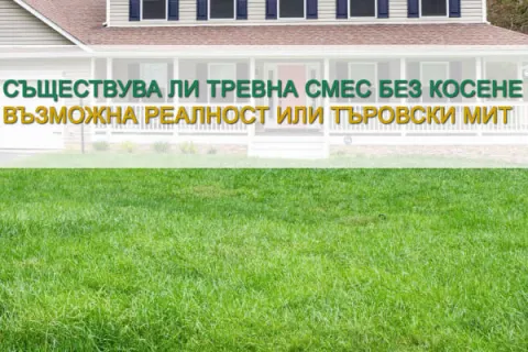 Съществува ли тревна смеска без косене и поливане?