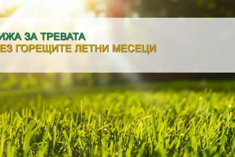 Грижа за тревата през горещите месеци