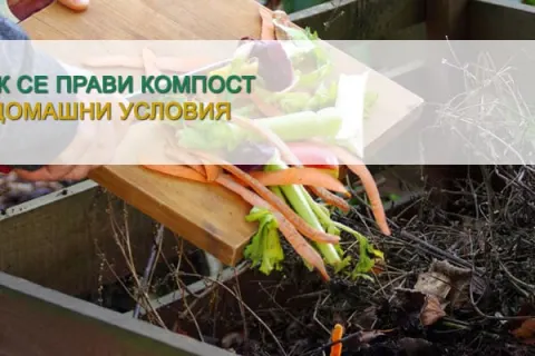 Как се прави компост в домашни условия?