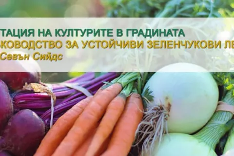 Ротация на културите в градината - практическо ръководство за устойчиви зеленчукови лехи в България