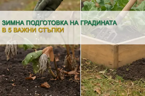 Зимна подготовка на градината в 5 важни стъпки