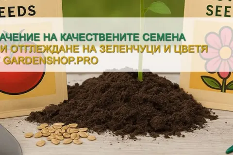 Значението на качествените семена при отглеждане на зеленчуци и цветя
