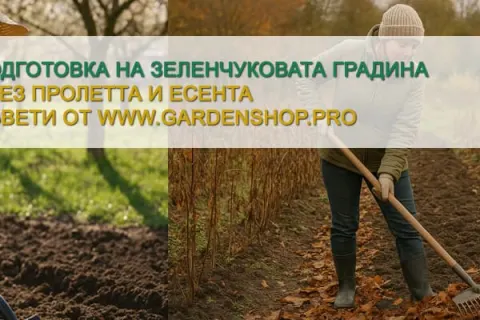 Подготовка на зеленчуковата градина през пролетта и есента