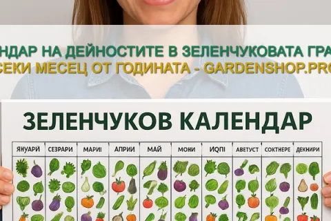 Зеленчуков календар – кога какви култури да засеем през годината