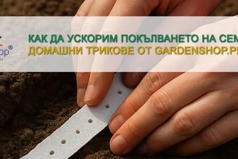 Какви са плюсовете от използването на семена на лента?