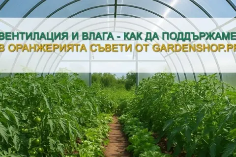 Вентилация и влага – как да поддържаме баланс в оранжерията