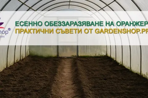 Есенно обеззаразяване на оранжерия