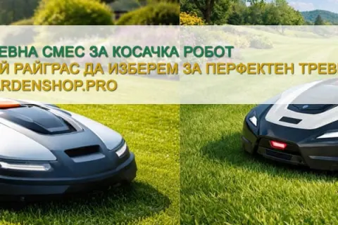 Тревна смес за косачка робот – кой райграс да изберем за идеалния тревен килим